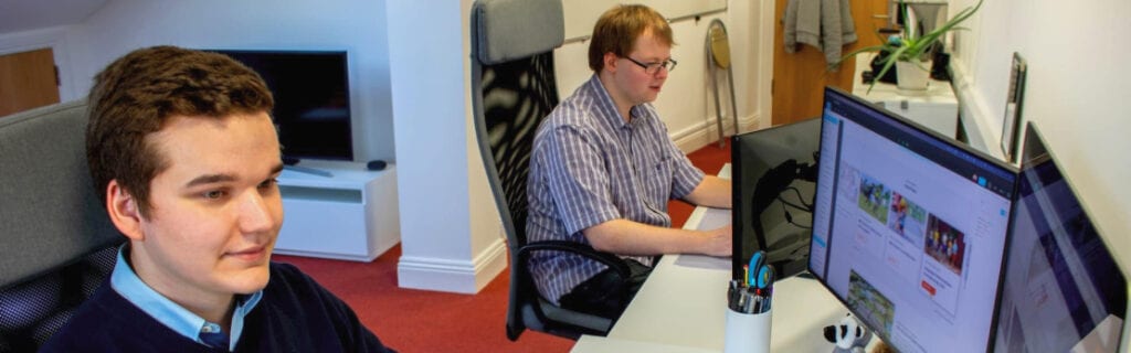 Web developers creating WordPress Plugins