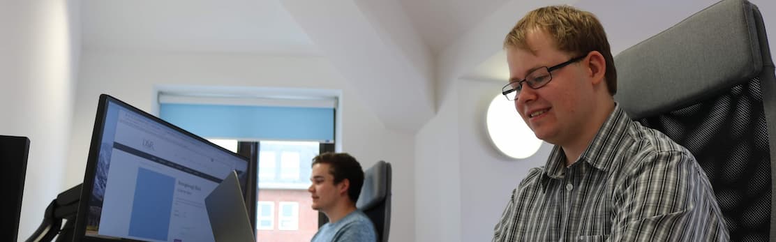 Web Developers working on WordPress Services